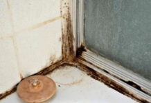 ZABORAVITE SODU BIKARBONU I SIRĆE: Jedna namirnica koju već imate u kući čini da kamenac nestane duplo brže, TOPI ČAK I RĐU ZABORAVITE SODU BIKARBONU I SIRĆE: Jedna namirnica koju već imate u kući čini da kamenac nestane duplo brže, TOPI ČAK I RĐU - featured image