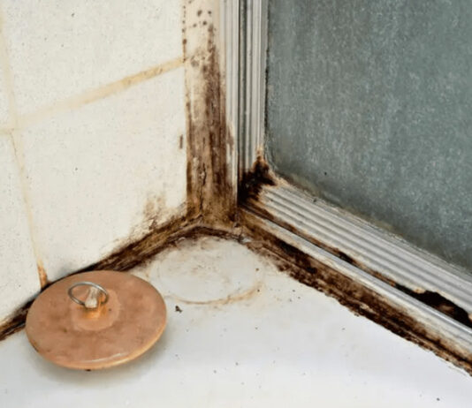 ZABORAVITE SODU BIKARBONU I SIRĆE: Jedna namirnica koju već imate u kući čini da kamenac nestane duplo brže, TOPI ČAK I RĐU ZABORAVITE SODU BIKARBONU I SIRĆE: Jedna namirnica koju već imate u kući čini da kamenac nestane duplo brže, TOPI ČAK I RĐU - featured image