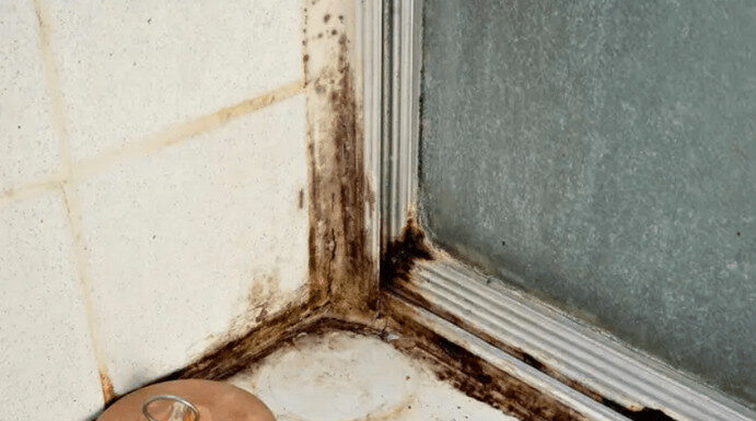 ZABORAVITE SODU BIKARBONU I SIRĆE: Jedna namirnica koju već imate u kući čini da kamenac nestane duplo brže, TOPI ČAK I RĐU ZABORAVITE SODU BIKARBONU I SIRĆE: Jedna namirnica koju već imate u kući čini da kamenac nestane duplo brže, TOPI ČAK I RĐU - featured image