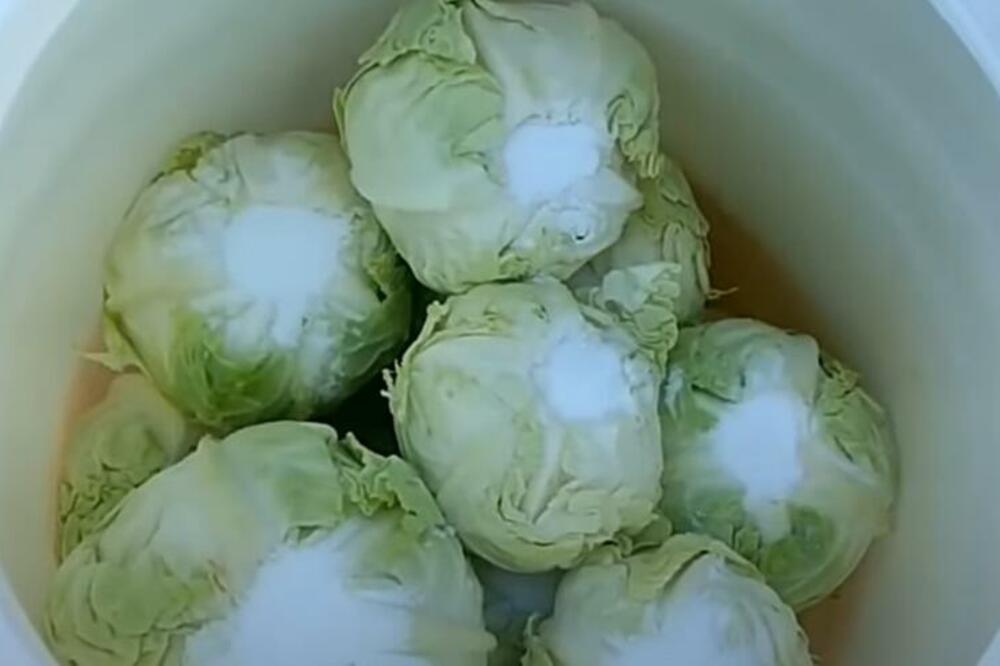 Svjetski poznati sauerkraut: Originalni njemački recept za kiseli kupus – tajni začin čini ga POSEBNIM - featured image