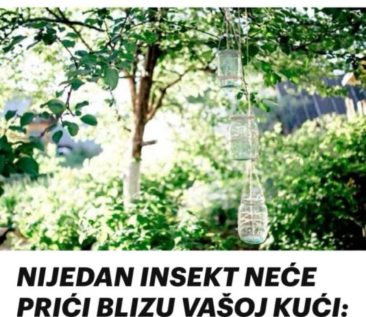 NIJEDAN INSEKT NEĆE PRIĆI BLIZU VAŠOJ KUĆI: Samo okačite teglu s ovim unutra! (RECEPTI) NIJEDAN INSEKT NEĆE PRIĆI BLIZU VAŠOJ KUĆI: Samo okačite teglu s ovim unutra! (RECEPTI) - featured image