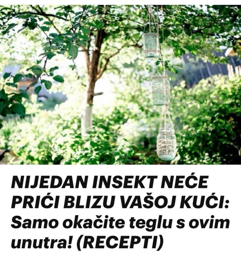 NIJEDAN INSEKT NEĆE PRIĆI BLIZU VAŠOJ KUĆI: Samo okačite teglu s ovim unutra! (RECEPTI) - featured image