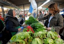 Pojavio se uznemirujući izveštaj: Bežite od ovog povrća kao đavo od tamjana Pojavio se uznemirujući izveštaj: Bežite od ovog povrća kao đavo od tamjana - featured image