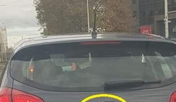 Jedan čovek je samo dodao 2 slova uz marku svog auta i nasmejao ceo Balkan do suza (foto) - featured image