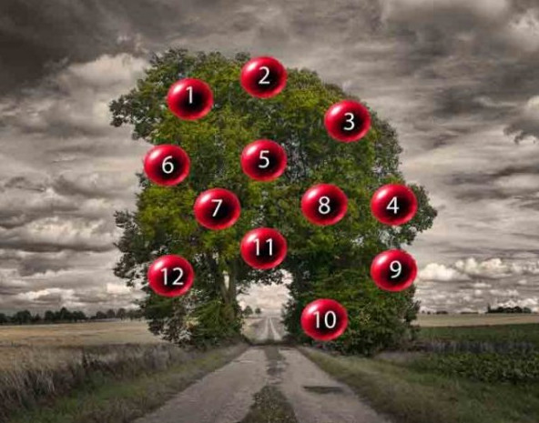 DRVO ŽELJA! ZAMISLITE JEDNU ŽELJU I IZABERITE 1 BROJ SA DRVETA: Evo da li će vam se želja ostvariti - featured image