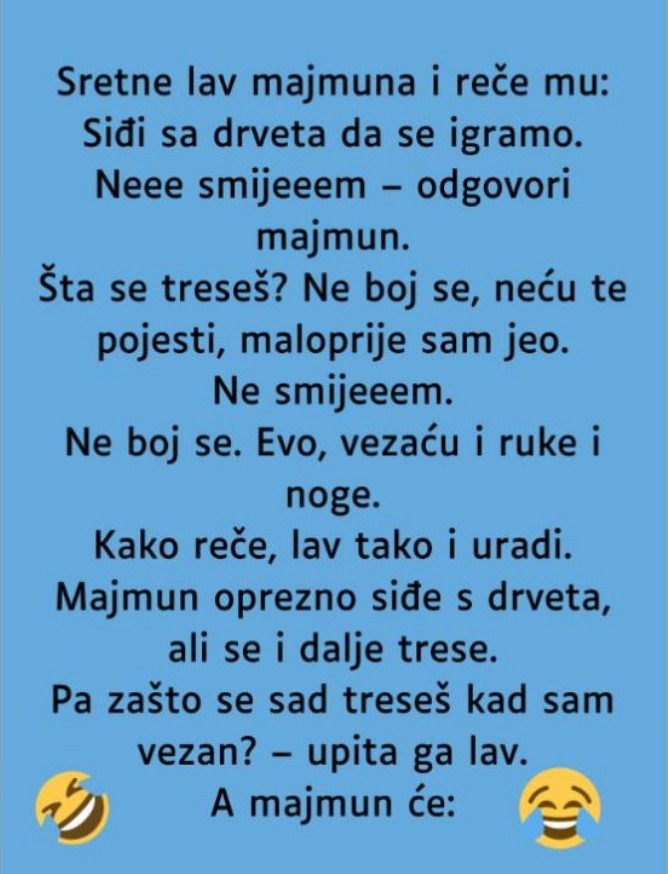 VIC: Majmun i lav - featured image