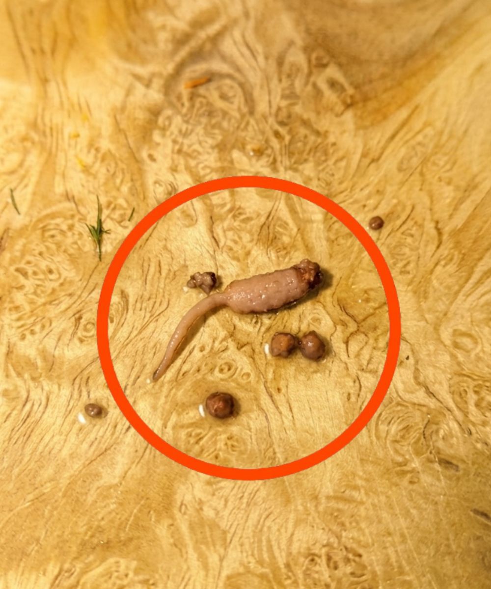 Kuvao sam mleveno meso i kada sam ga izvadio iz tiganja, primetio sam čudan predmet koji nije ličio na meso. - featured image