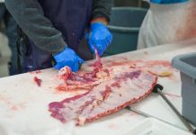 Mesar dao otkaz pa se otvorio: Ovako vas varaju i zakidaju, fora s vodom prolazi decenijama Mesar dao otkaz pa se otvorio: Ovako vas varaju i zakidaju, fora s vodom prolazi decenijama - featured image