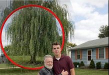 Mislio sam da sam ostao bez svega — dok nisam otvorio sef Mislio sam da sam ostao bez svega — dok nisam otvorio sef - featured image