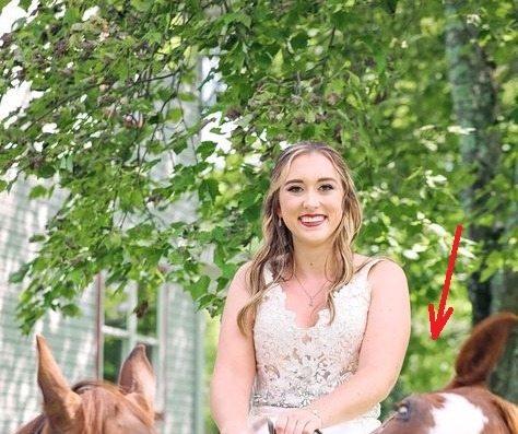 OVA SLIKA JE NAJVEĆI HIT, LJUDI PLAČU OD SMIJEHA: Kad vidite donji dio slike NEĆE VAM BITI DOBRO - featured image