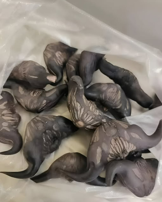 Strani susjedi su mi dali ovo i poželjeli mi „prijatno“, ali bilo je nešto tvrdo i uopće nije ličilo na hranu, više kao jaje. - featured image