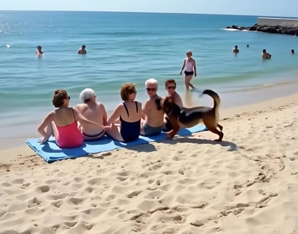 Prijateljice su se odmarale na plaži kada je pas dotrčao do njih i počeo da laje — jedna od žena je iznenada pobledela kad je primetila nešto u njegovom krznu. - featured image Prijateljice su se odmarale na plaži kada je pas dotrčao do njih i počeo da laje — jedna od žena je iznenada pobledela kad je primetila nešto u njegovom krznu. - featured image