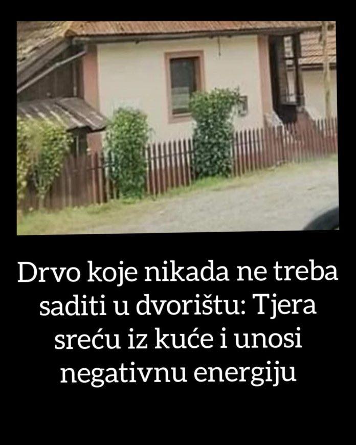 0V0 DRV0 NlKADA NE TREBA SADlTl U DV0RlŠTU: Tjera sreću iz kuće i unosi negativnu energiju! - featured image