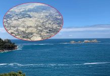 Zabrinjavajuće promjene u Jadranskom moru: Satelitske slike izazvale reakcije naučnika Zabrinjavajuće promjene u Jadranskom moru: Satelitske slike izazvale reakcije naučnika - featured image