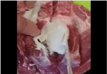 VIDEO Puljanin kupio meso iz kojeg je iscurilo nešto odvratno, pogledajte snimku VIDEO Puljanin kupio meso iz kojeg je iscurilo nešto odvratno, pogledajte snimku - featured image