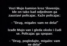 VIC DANA: Vozi Mujo kamion VIC DANA: Vozi Mujo kamion - featured image