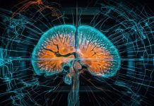 Kao neurolog, važno je napomenuti da mozak ima averziju prema masti, duhanu i alkoholu. Kao neurolog, važno je napomenuti da mozak ima averziju prema masti, duhanu i alkoholu. - featured image