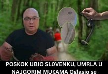 Poznati zmijolovac otkrio šta da uradite ako vas ujede zmija: Ovako prepoznajte otrovnicu od bezopasne vrste Poznati zmijolovac otkrio šta da uradite ako vas ujede zmija: Ovako prepoznajte otrovnicu od bezopasne vrste - featured image