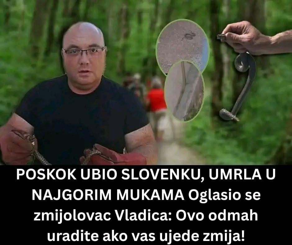 Poznati zmijolovac otkrio šta da uradite ako vas ujede zmija: Ovako prepoznajte otrovnicu od bezopasne vrste - featured image Poznati zmijolovac otkrio šta da uradite ako vas ujede zmija: Ovako prepoznajte otrovnicu od bezopasne vrste - featured image