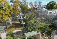 Vrisci odzvanjali zoološkim vrtom! Trogodišnjak bačen krokodilima – šta se ovo dešava?! Vrisci odzvanjali zoološkim vrtom! Trogodišnjak bačen krokodilima – šta se ovo dešava?! - featured image