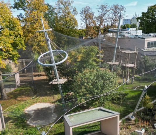 Vrisci odzvanjali zoološkim vrtom! Trogodišnjak bačen krokodilima – šta se ovo dešava?! Vrisci odzvanjali zoološkim vrtom! Trogodišnjak bačen krokodilima – šta se ovo dešava?! - featured image