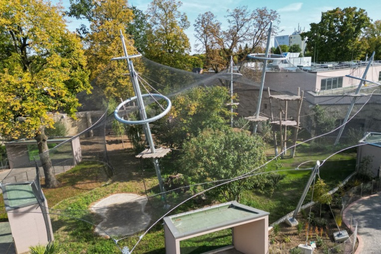 Vrisci odzvanjali zoološkim vrtom! Trogodišnjak bačen krokodilima – šta se ovo dešava?! - featured image