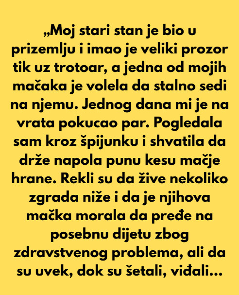 Stan u prizemlju s velikim prozorom: Kako mačka i prolaznici stvaraju neočekivanu povezanost - featured image