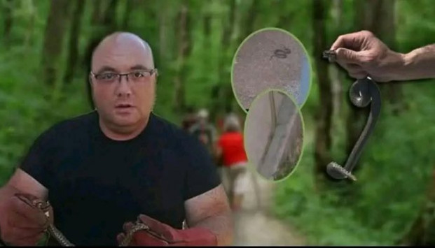 Poznati zmijolovac otkrio šta da uradite ako vas ujede zmija: Ovako prepoznajte otrovnicu od bezopasne vrste - featured image