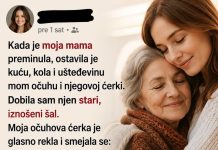 Svi su se podsmevali starom šalu koji sam nasledila, a onda je otkrivena tajna koja je promenila sve Svi su se podsmevali starom šalu koji sam nasledila, a onda je otkrivena tajna koja je promenila sve - featured image
