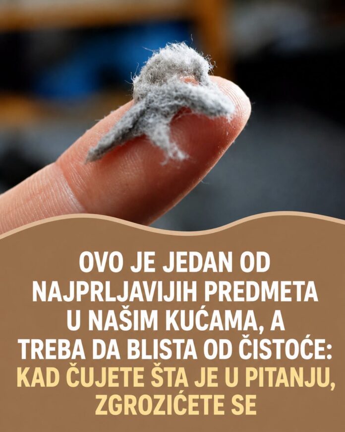 OVO JE JEDAN OD NAJPRLJAVIJIH PREDMETA U NAŠIM KUĆAMA, A TREBA DA BLISTA OD ČISTOĆE: Kad čujete šta je u pitanju, ZGROZIĆETE SE - content image
