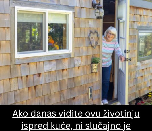 Ako danas vidite ovu životinju ispred kuće, ni slučajno je nemojte terati Ako danas vidite ovu životinju ispred kuće, ni slučajno je nemojte terati - content image